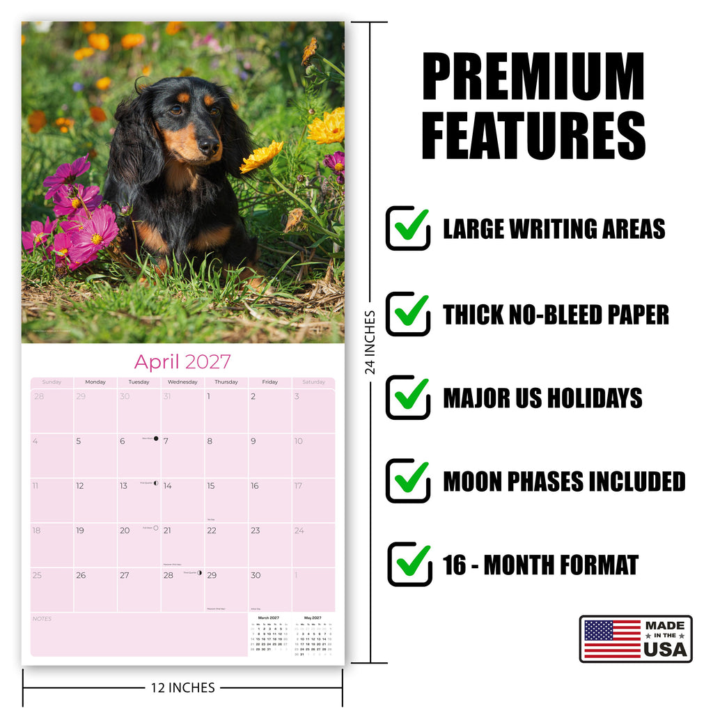 Longhaired Dachshund Wall Calendar 2027 - 12" x 12" Monthly Silky Low-Slung Hound & Elegant Badger Dog Calendar