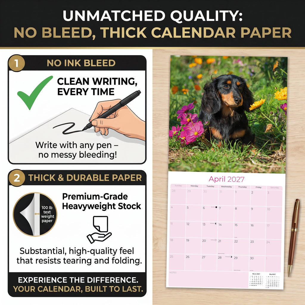 Longhaired Dachshund Wall Calendar 2027 - 12" x 12" Monthly Silky Low-Slung Hound & Elegant Badger Dog Calendar