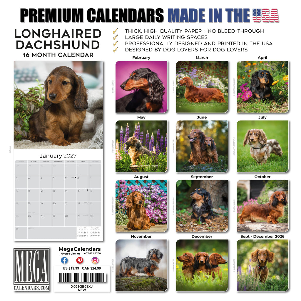 Longhaired Dachshund Wall Calendar 2027 - 12" x 12" Monthly Silky Low-Slung Hound & Elegant Badger Dog Calendar
