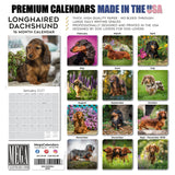 Longhaired Dachshund Wall Calendar 2027 - 12" x 12" Monthly Silky Low-Slung Hound & Elegant Badger Dog Calendar