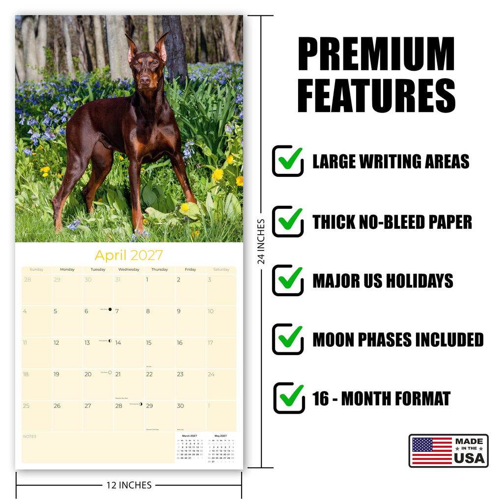 Doberman (US) Wall Calendar 2027 - 12" x 12" Monthly Sleek Guard Dog & Athletic Pinscher Breed Calendar