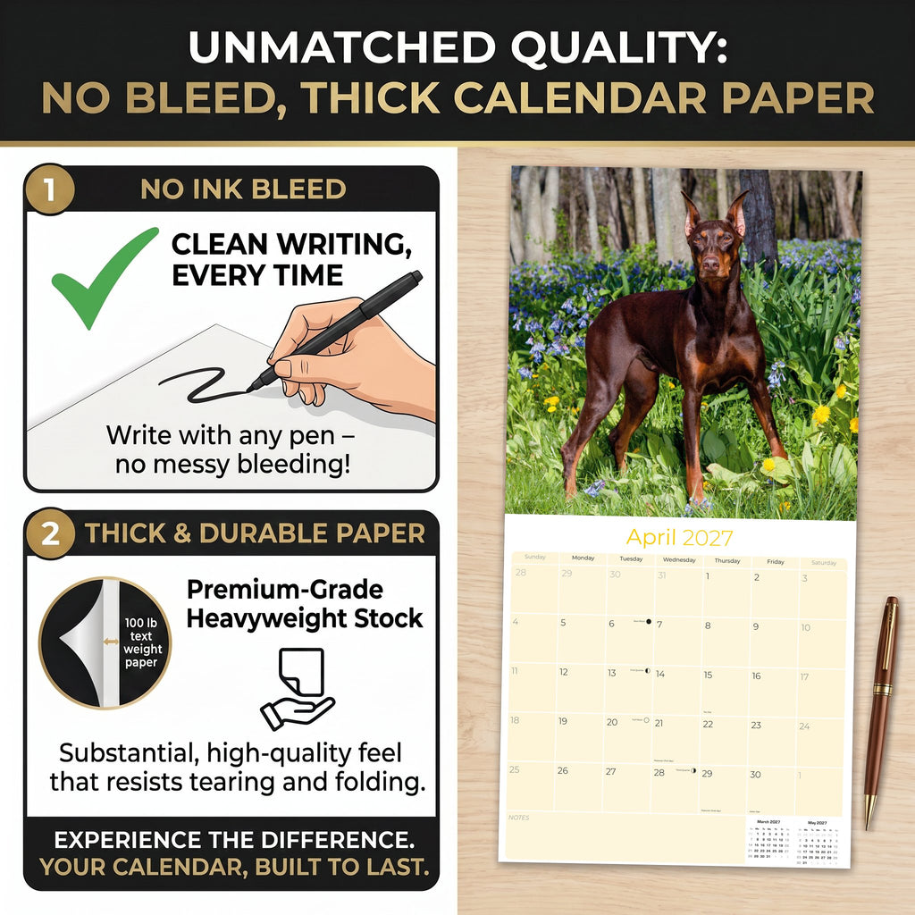 Doberman (US) Wall Calendar 2027 - 12" x 12" Monthly Sleek Guard Dog & Athletic Pinscher Breed Calendar