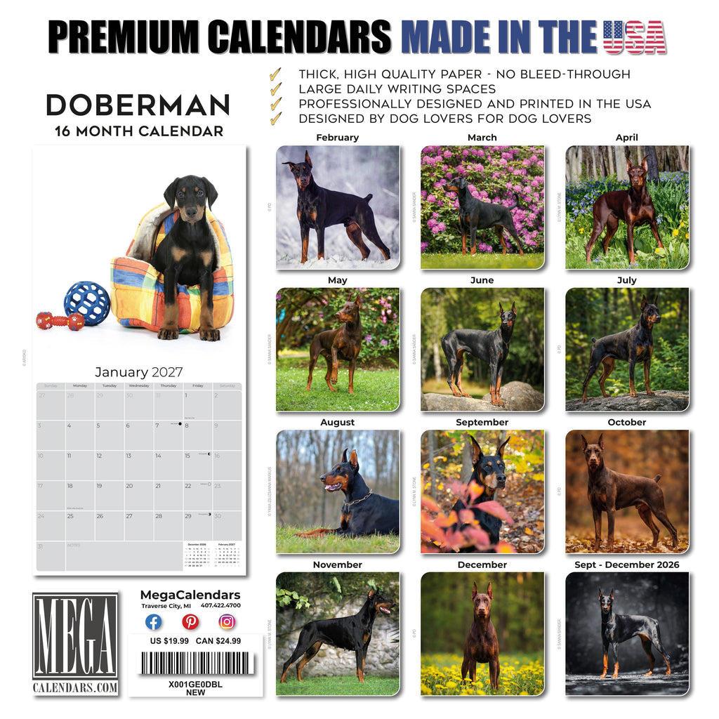 Doberman (US) Wall Calendar 2027 - 12" x 12" Monthly Sleek Guard Dog & Athletic Pinscher Breed Calendar