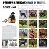 Doberman (US) Wall Calendar 2027 - 12" x 12" Monthly Sleek Guard Dog & Athletic Pinscher Breed Calendar