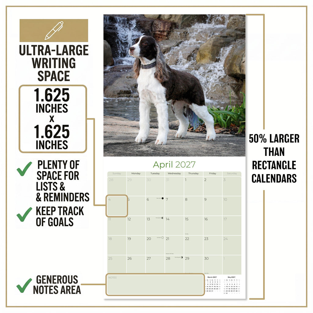English Springer Spaniel (US) Wall Calendar 2027 - 12" x 12" Monthly Loyal American Springer Spaniel Gundog Breed Calendar