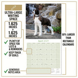 English Springer Spaniel (US) Wall Calendar 2027 - 12" x 12" Monthly Loyal American Springer Spaniel Gundog Breed Calendar