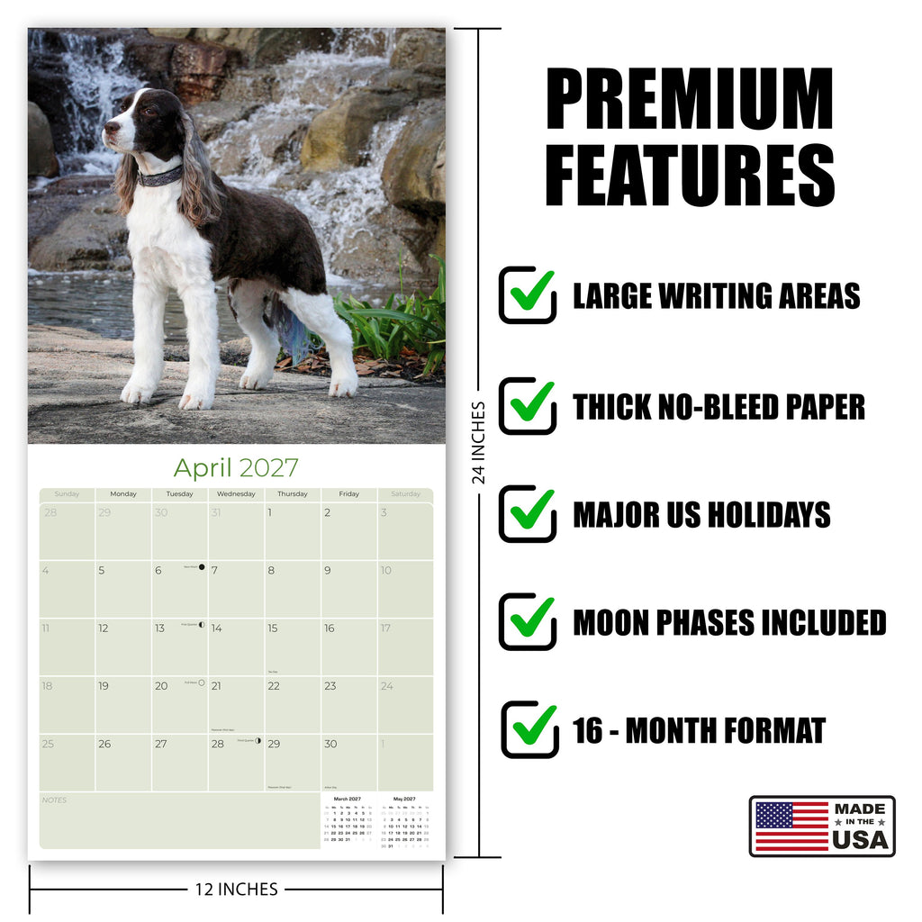 English Springer Spaniel (US) Wall Calendar 2027 - 12" x 12" Monthly Loyal American Springer Spaniel Gundog Breed Calendar