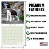 English Springer Spaniel (US) Wall Calendar 2027 - 12" x 12" Monthly Loyal American Springer Spaniel Gundog Breed Calendar