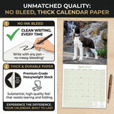 English Springer Spaniel (US) Wall Calendar 2027 - 12" x 12" Monthly Loyal American Springer Spaniel Gundog Breed Calendar