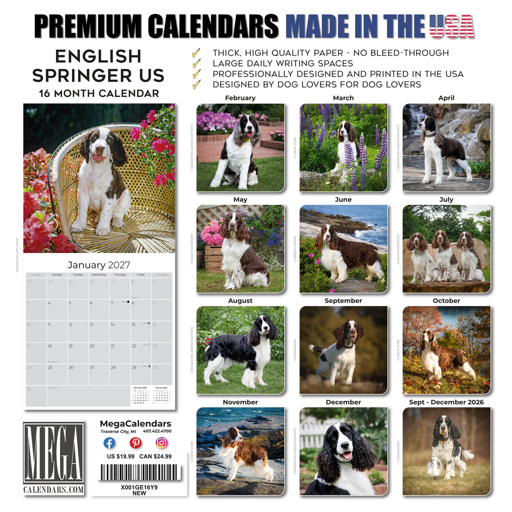English Springer Spaniel (US) Wall Calendar 2027 - 12" x 12" Monthly Loyal American Springer Spaniel Gundog Breed Calendar