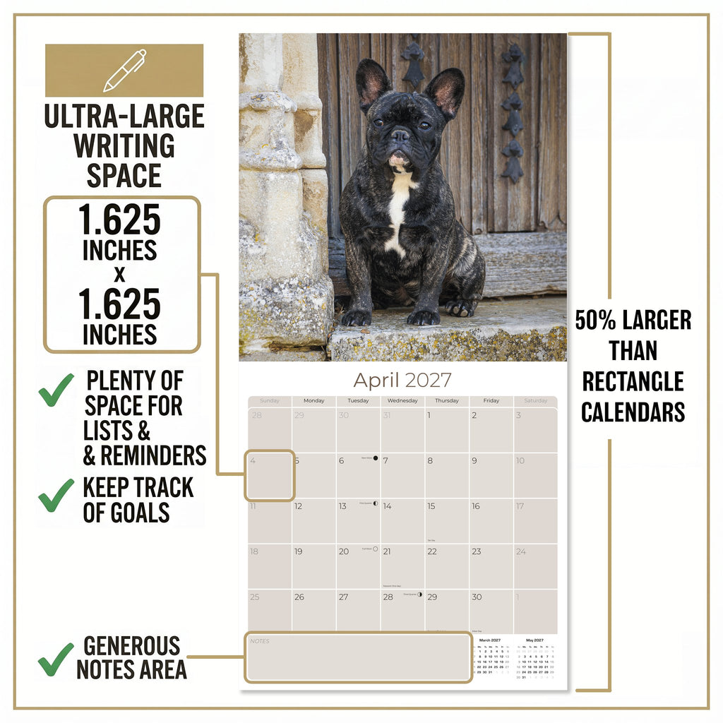 French Bulldog Wall Calendar 2027 - 12" x 12" Monthly Affectionate Frenchie & Bat-Eared Companion Dog Calendar