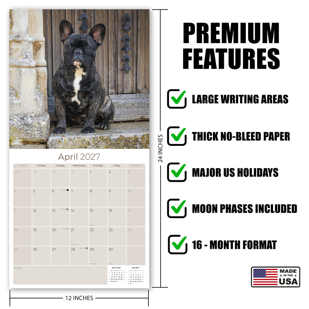 French Bulldog Wall Calendar 2027 - 12" x 12" Monthly Affectionate Frenchie & Bat-Eared Companion Dog Calendar
