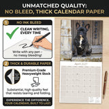 French Bulldog Wall Calendar 2027 - 12" x 12" Monthly Affectionate Frenchie & Bat-Eared Companion Dog Calendar