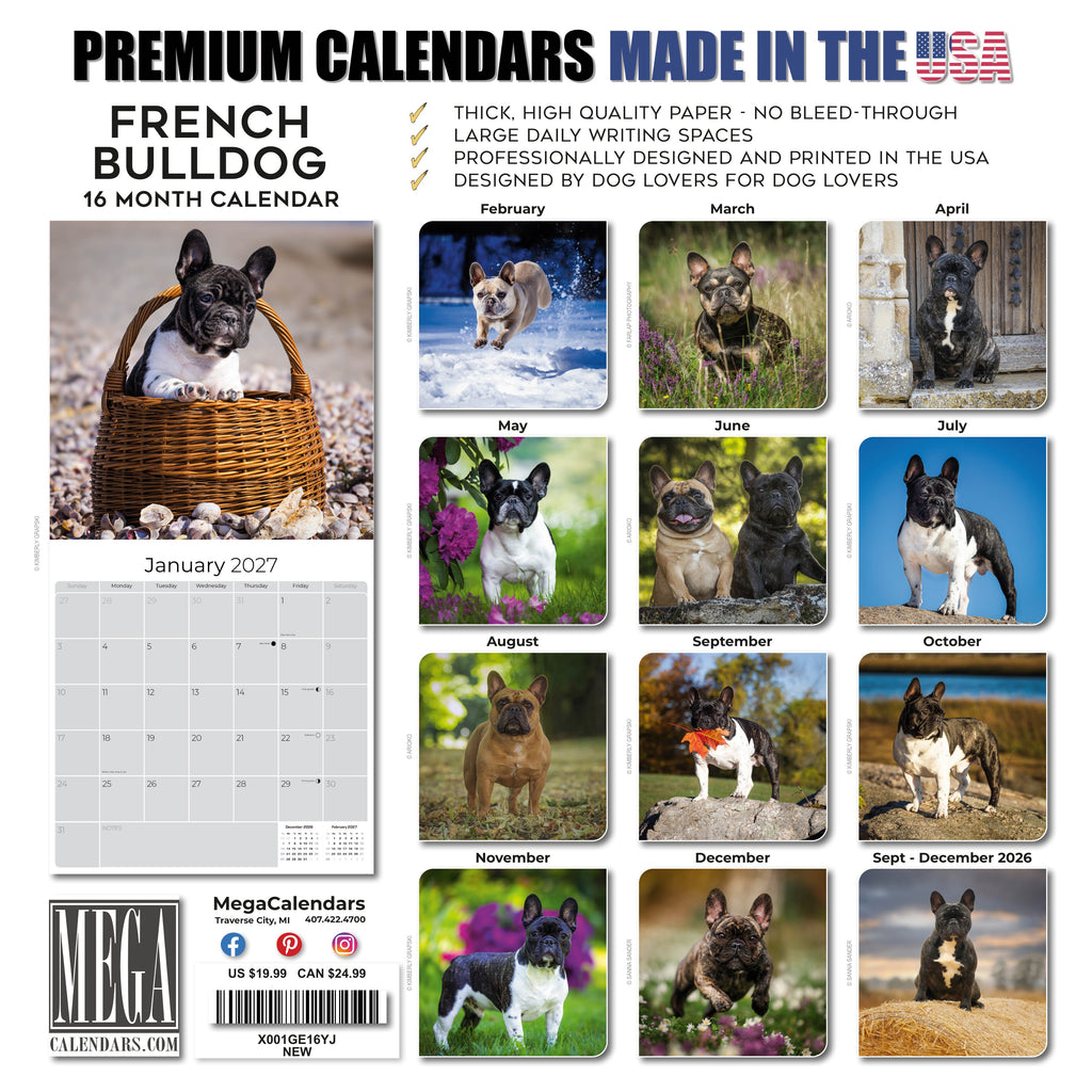 French Bulldog Wall Calendar 2027 - 12" x 12" Monthly Affectionate Frenchie & Bat-Eared Companion Dog Calendar