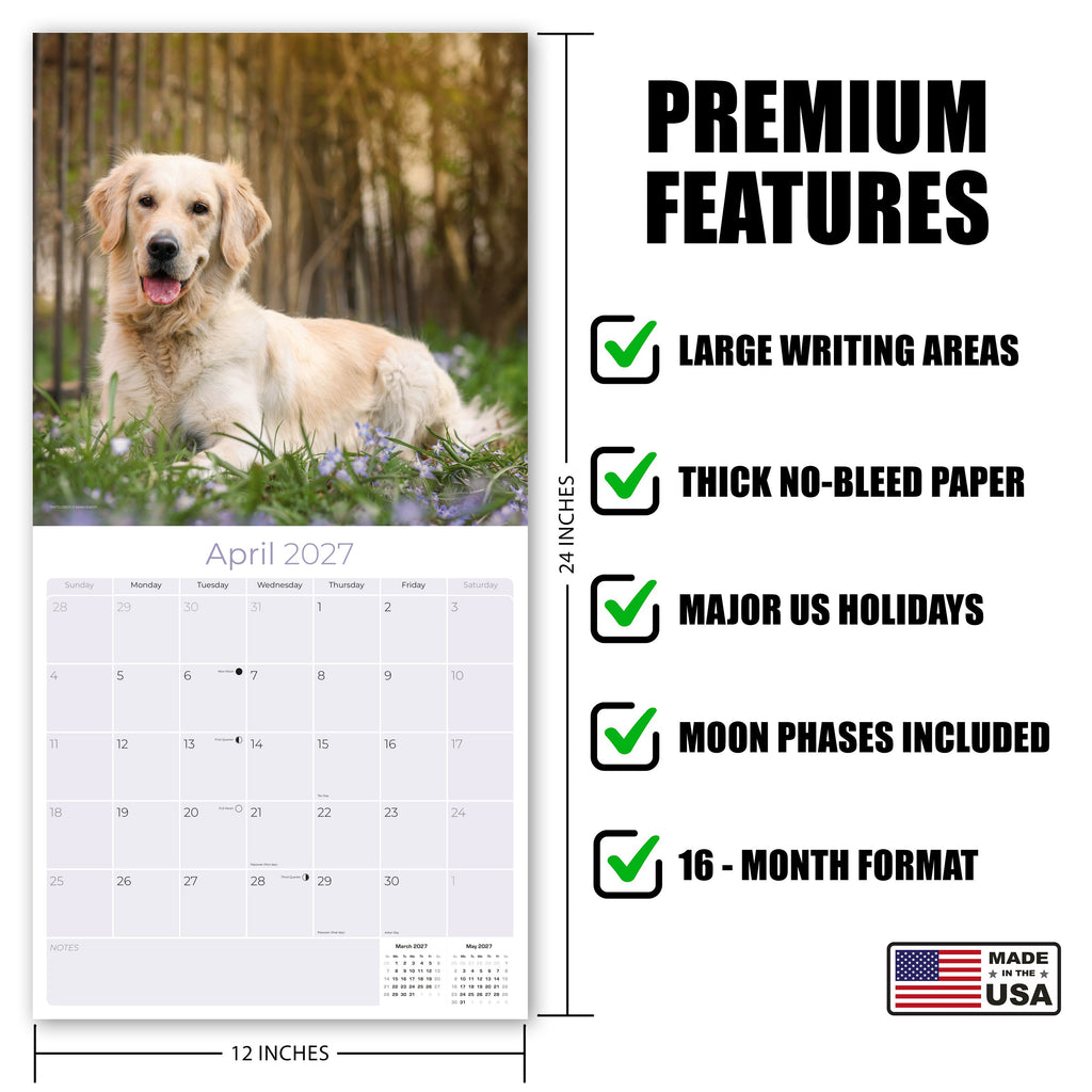 Golden Retriever Wall Calendar 2027 - 12" x 12" Monthly Friendly & Devoted Golden Lab Sporting Breed Calendar