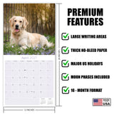 Golden Retriever Wall Calendar 2027 - 12" x 12" Monthly Friendly & Devoted Golden Lab Sporting Breed Calendar