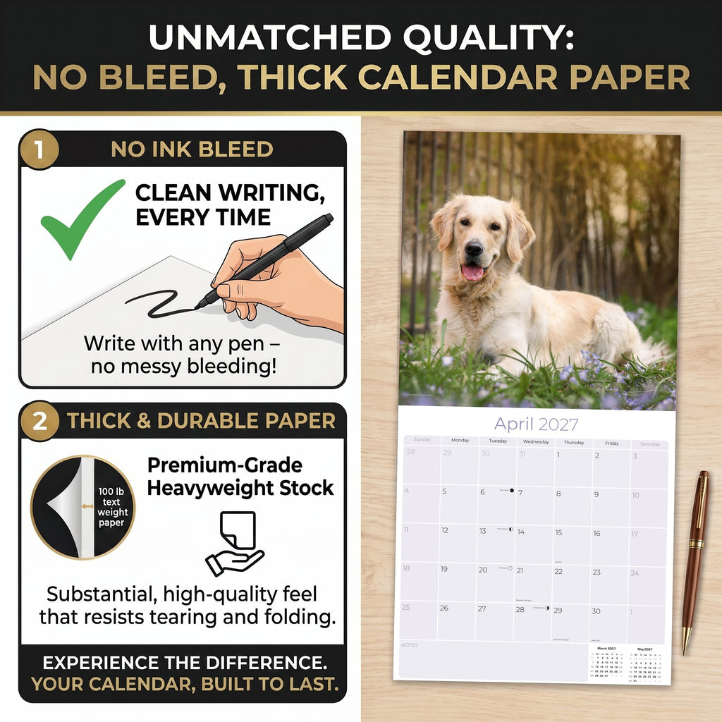 Golden Retriever Wall Calendar 2027 - 12" x 12" Monthly Friendly & Devoted Golden Lab Sporting Breed Calendar
