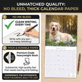 Golden Retriever Wall Calendar 2027 - 12" x 12" Monthly Friendly & Devoted Golden Lab Sporting Breed Calendar