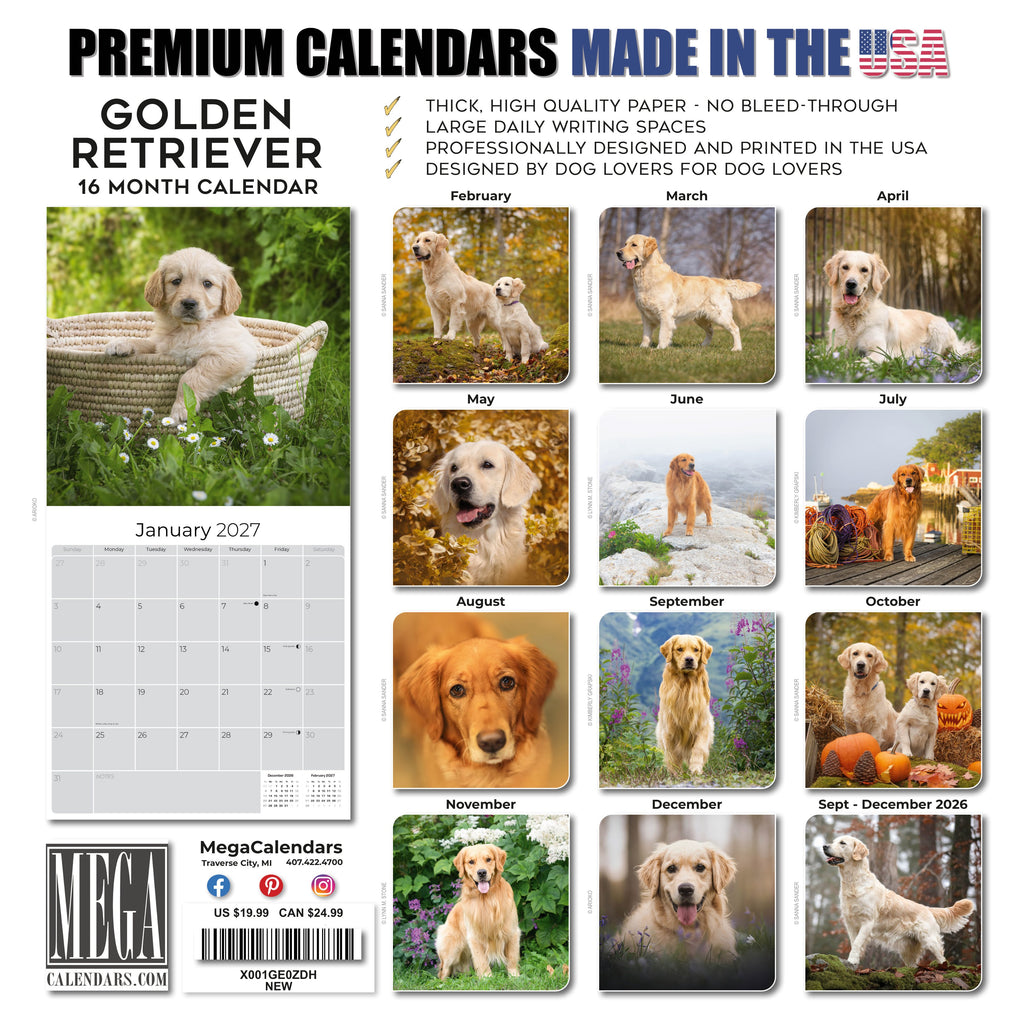 Golden Retriever Wall Calendar 2027 - 12" x 12" Monthly Friendly & Devoted Golden Lab Sporting Breed Calendar