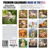 Golden Retriever Wall Calendar 2027 - 12" x 12" Monthly Friendly & Devoted Golden Lab Sporting Breed Calendar
