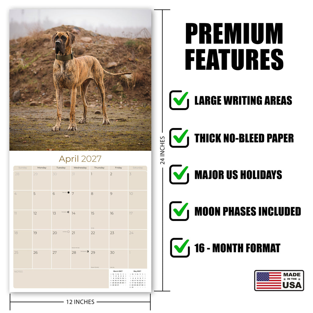 Great Dane Wall Calendar 2027 - 12" x 12" Monthly Noble Apollo of Dogs & Giant Dane Breed Calendar