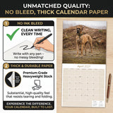 Great Dane Wall Calendar 2027 - 12" x 12" Monthly Noble Apollo of Dogs & Giant Dane Breed Calendar