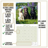 Labrador Retriever Mixed Wall Calendar 2027 - 12" x 12" Monthly Loyal Lab Crossbreeds & Mixed Heritage Mutts Calendar