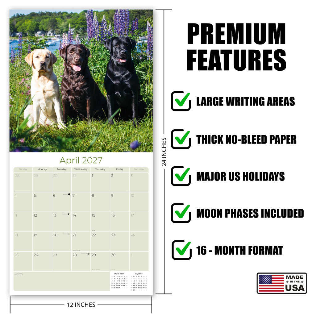 Labrador Retriever Mixed Wall Calendar 2027 - 12" x 12" Monthly Loyal Lab Crossbreeds & Mixed Heritage Mutts Calendar