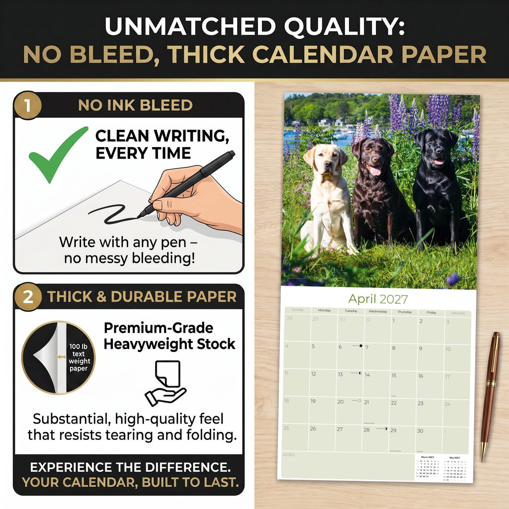 Labrador Retriever Mixed Wall Calendar 2027 - 12" x 12" Monthly Loyal Lab Crossbreeds & Mixed Heritage Mutts Calendar