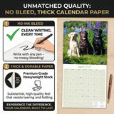 Labrador Retriever Mixed Wall Calendar 2027 - 12" x 12" Monthly Loyal Lab Crossbreeds & Mixed Heritage Mutts Calendar