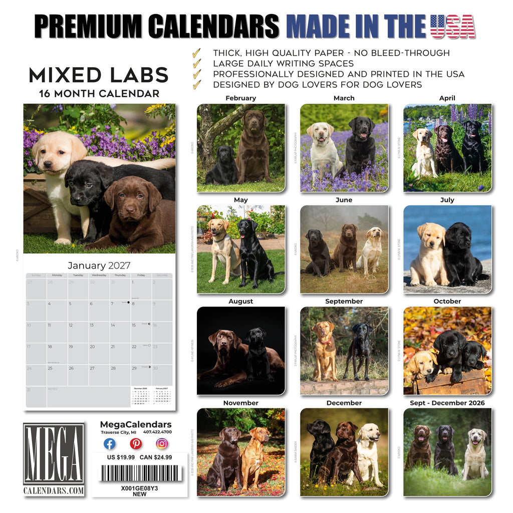 Labrador Retriever Mixed Wall Calendar 2027 - 12" x 12" Monthly Loyal Lab Crossbreeds & Mixed Heritage Mutts Calendar