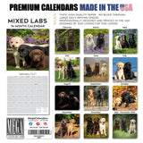 Labrador Retriever Mixed Wall Calendar 2027 - 12" x 12" Monthly Loyal Lab Crossbreeds & Mixed Heritage Mutts Calendar