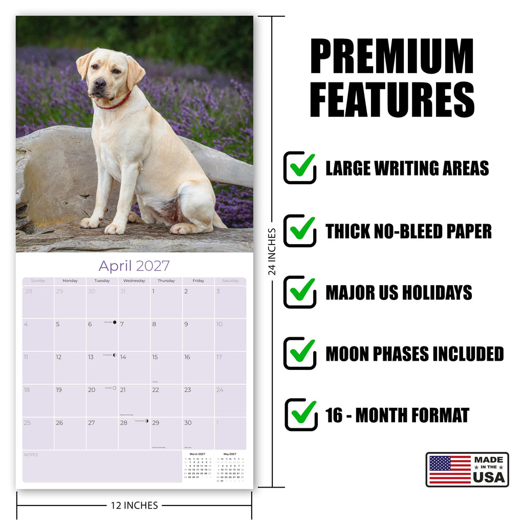 Yellow Labrador Retriever Wall Calendar 2027 - 12" x 12" Monthly Friendly & Devoted Yellow Lab Sporting Breed Calendar