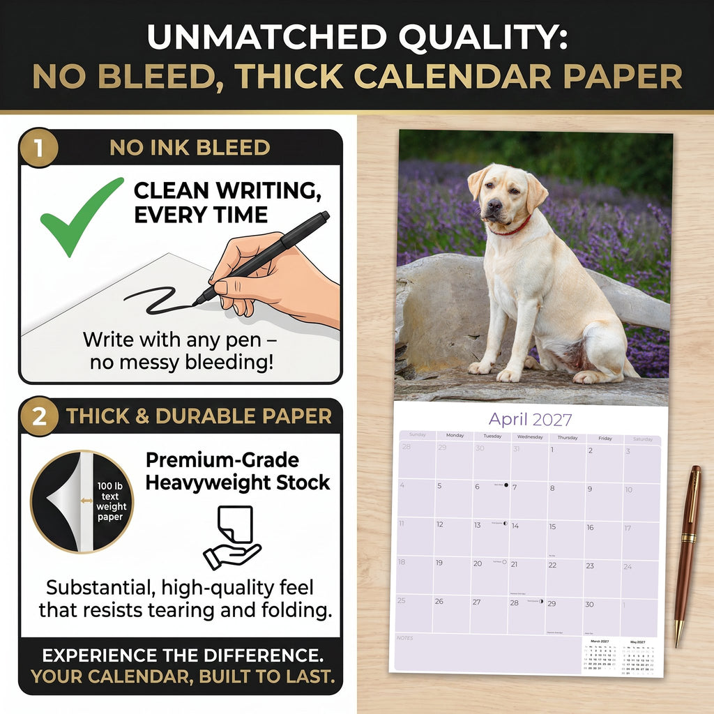 Yellow Labrador Retriever Wall Calendar 2027 - 12" x 12" Monthly Friendly & Devoted Yellow Lab Sporting Breed Calendar