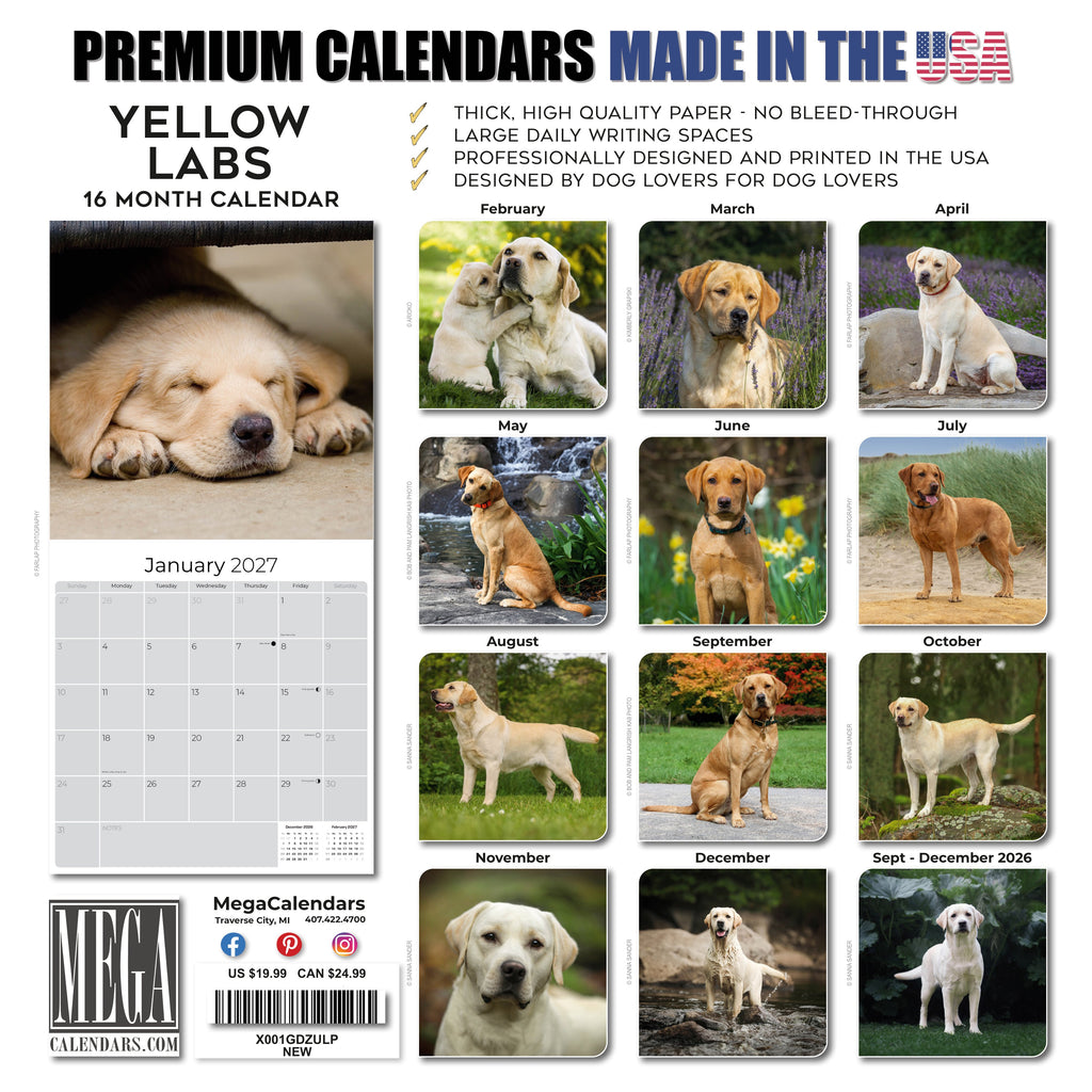 Yellow Labrador Retriever Wall Calendar 2027 - 12" x 12" Monthly Friendly & Devoted Yellow Lab Sporting Breed Calendar