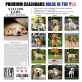 Yellow Labrador Retriever Wall Calendar 2027 - 12" x 12" Monthly Friendly & Devoted Yellow Lab Sporting Breed Calendar