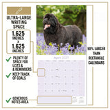 Newfoundland Wall Calendar 2027 - 12" x 12" Monthly Loyal Life-Saving & Plush Newfie Giant Calendar