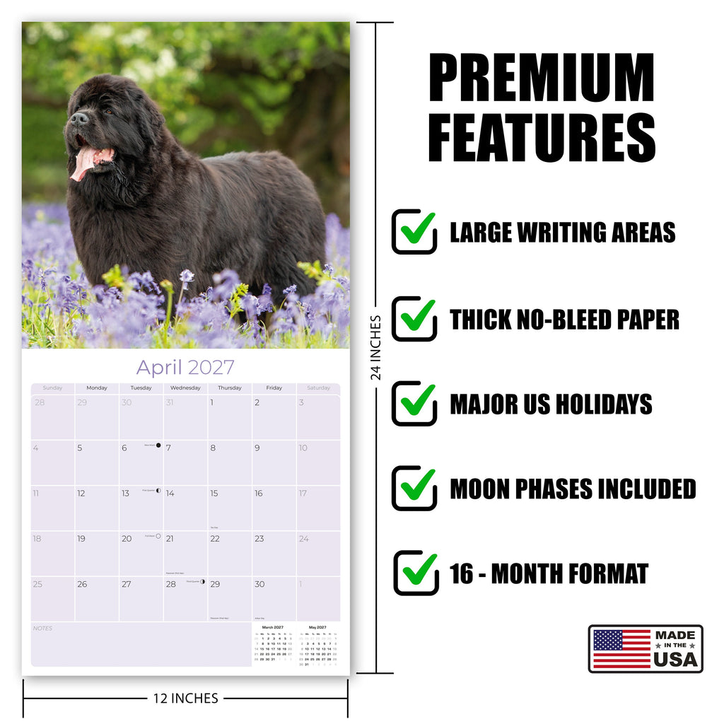 Newfoundland Wall Calendar 2027 - 12" x 12" Monthly Loyal Life-Saving & Plush Newfie Giant Calendar