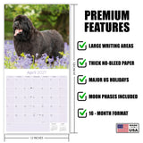 Newfoundland Wall Calendar 2027 - 12" x 12" Monthly Loyal Life-Saving & Plush Newfie Giant Calendar