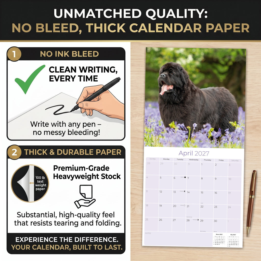 Newfoundland Wall Calendar 2027 - 12" x 12" Monthly Loyal Life-Saving & Plush Newfie Giant Calendar