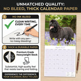 Newfoundland Wall Calendar 2027 - 12" x 12" Monthly Loyal Life-Saving & Plush Newfie Giant Calendar
