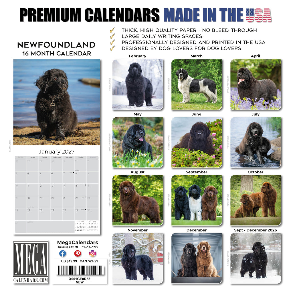 Newfoundland Wall Calendar 2027 - 12" x 12" Monthly Loyal Life-Saving & Plush Newfie Giant Calendar