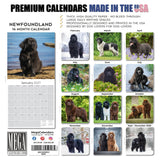 Newfoundland Wall Calendar 2027 - 12" x 12" Monthly Loyal Life-Saving & Plush Newfie Giant Calendar