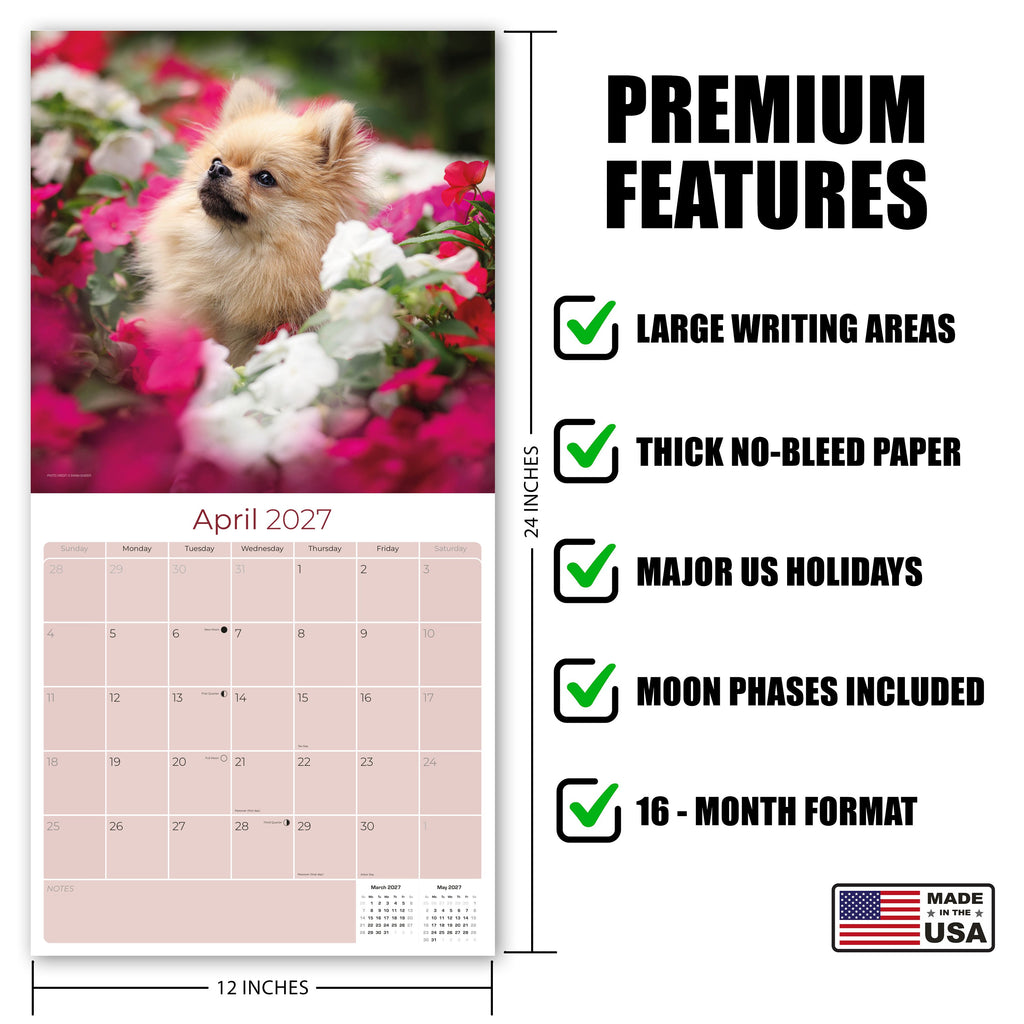 Pomeranian Wall Calendar 2027 - 12" x 12" Monthly Spirited & Fluffy Pom Pom Toy Dog Breed Calendar