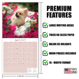 Pomeranian Wall Calendar 2027 - 12" x 12" Monthly Spirited & Fluffy Pom Pom Toy Dog Breed Calendar