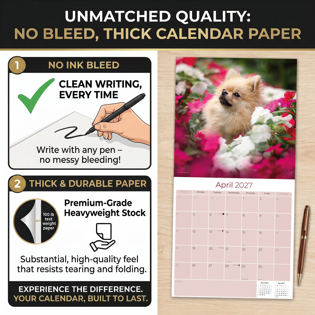 Pomeranian Wall Calendar 2027 - 12" x 12" Monthly Spirited & Fluffy Pom Pom Toy Dog Breed Calendar