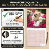 Pomeranian Wall Calendar 2027 - 12" x 12" Monthly Spirited & Fluffy Pom Pom Toy Dog Breed Calendar