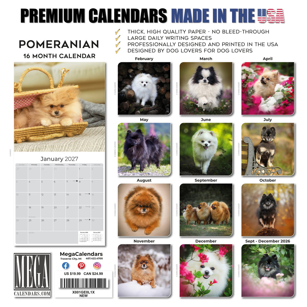 Pomeranian Wall Calendar 2027 - 12" x 12" Monthly Spirited & Fluffy Pom Pom Toy Dog Breed Calendar