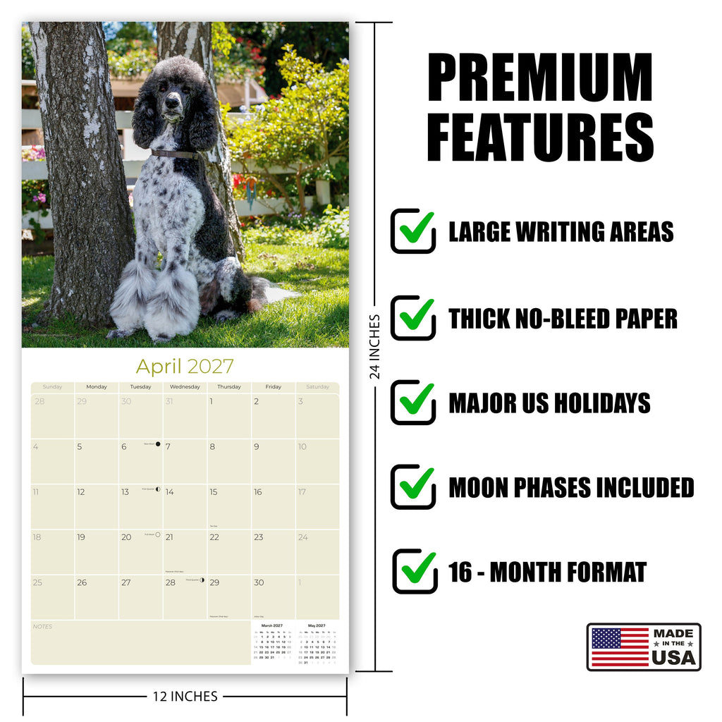 Poodle Wall Calendar 2027 - 12" x 12" Monthly Intelligent & Elegant Standard Poodle Breed Calendar