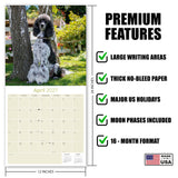 Poodle Wall Calendar 2027 - 12" x 12" Monthly Intelligent & Elegant Standard Poodle Breed Calendar